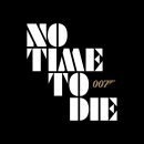 notimetodie-title-english